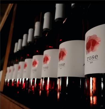 Screenshot 2022-09-15 at 09-41-11 Cejkotova Domačija (@cejkotova_domacija) • Instagram photos and videos